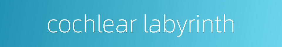 cochlear labyrinth的同义词