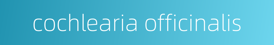 cochlearia officinalis的同义词