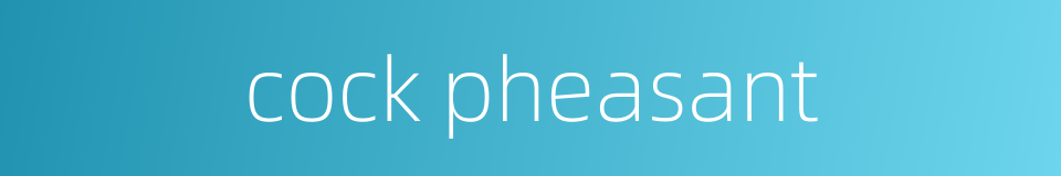 cock pheasant的同义词