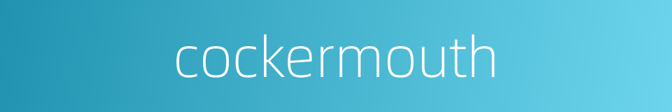 cockermouth的同义词