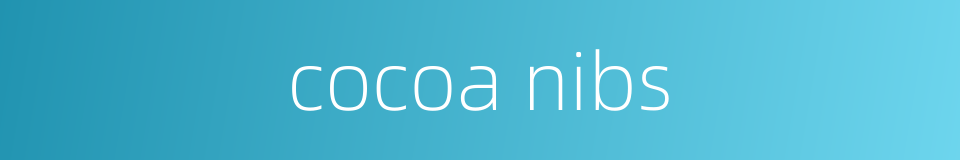 cocoa nibs的同义词