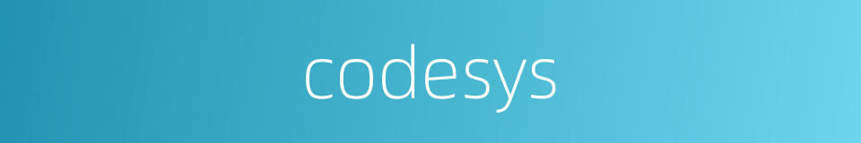 codesys的意思