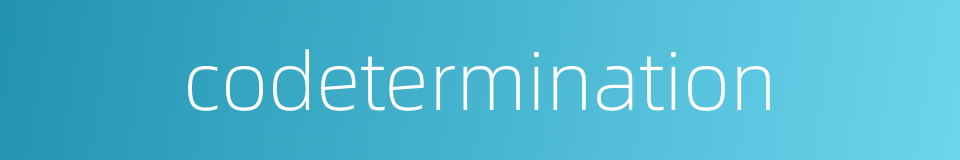 codetermination的同义词