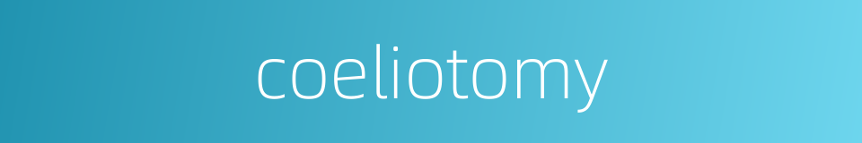 coeliotomy的同义词