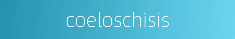 coeloschisis的同义词