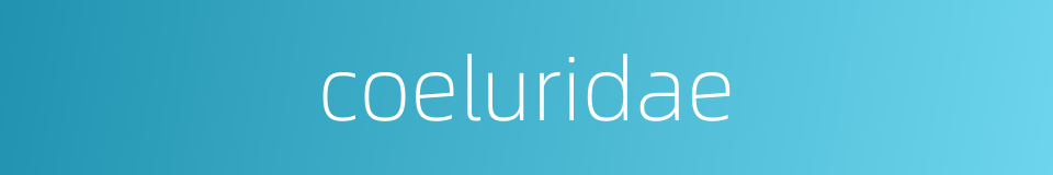 coeluridae的同义词