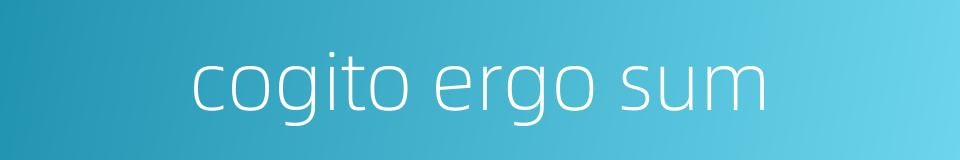 cogito ergo sum的同义词