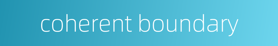 coherent boundary的同义词