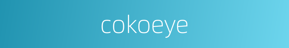 cokoeye的同义词