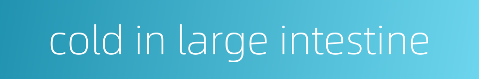 cold in large intestine的同义词