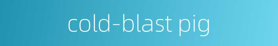 cold-blast pig的同义词