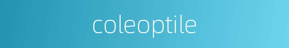 coleoptile的同义词
