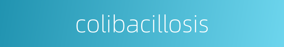colibacillosis的同义词