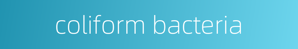 coliform bacteria的同义词
