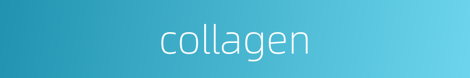 collagen的同义词