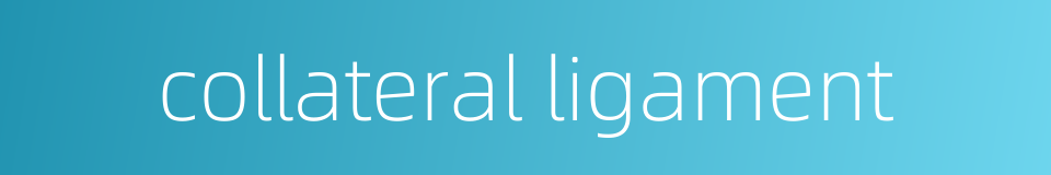 collateral ligament的同义词