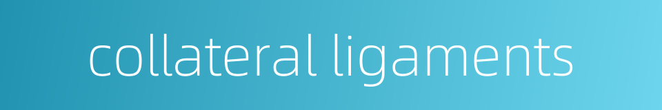 collateral ligaments的同义词