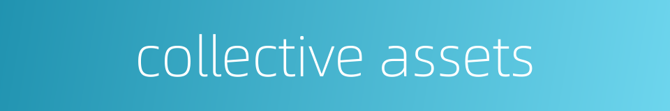 collective assets的同义词