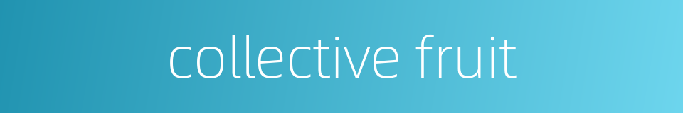 collective fruit的同义词