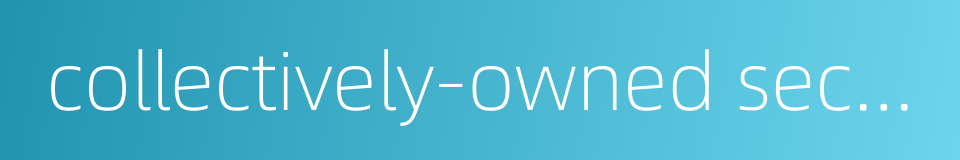 collectively-owned sector of economy的同义词