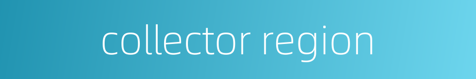 collector region的同义词