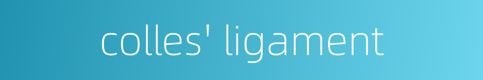colles' ligament的同义词