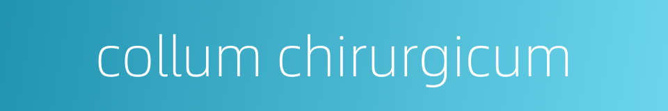 collum chirurgicum的同义词