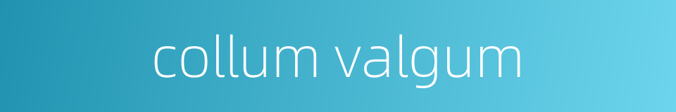 collum valgum的同义词