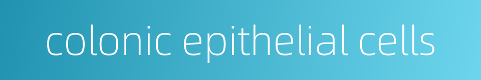 colonic epithelial cells的同义词