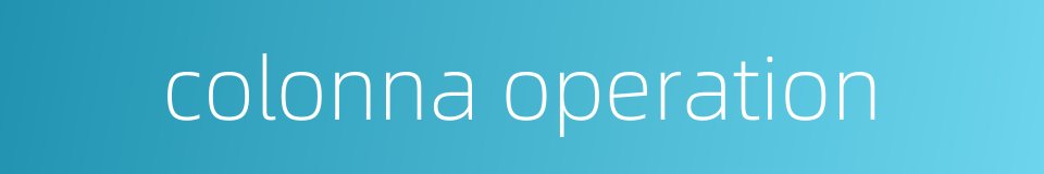 colonna operation的同义词