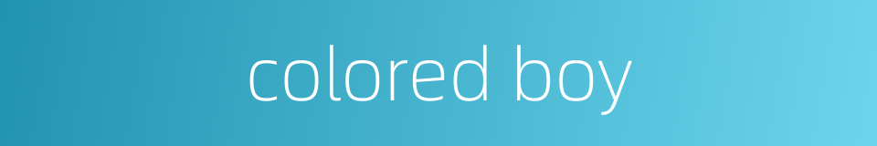colored boy的同义词