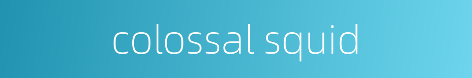 colossal squid的同义词