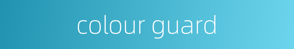 colour guard的同义词