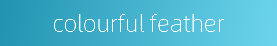 colourful feather的同义词
