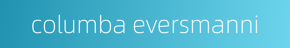 columba eversmanni的同义词