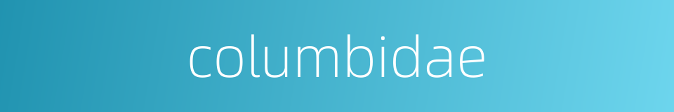 columbidae的同义词