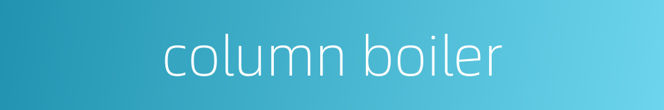 column boiler的同义词