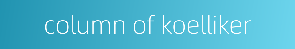 column of koelliker的同义词