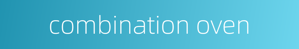 combination oven的同义词