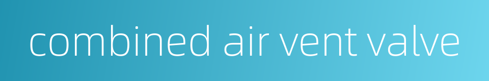 combined air vent valve的同义词