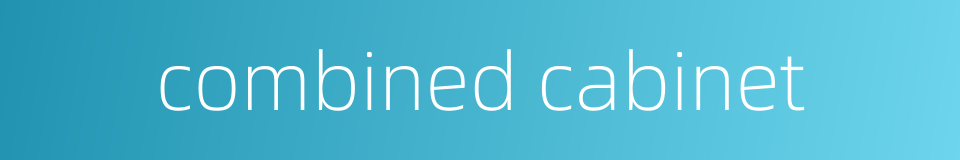 combined cabinet的同义词