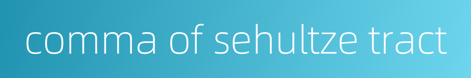 comma of sehultze tract的同义词