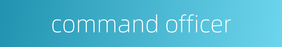 command officer的同义词
