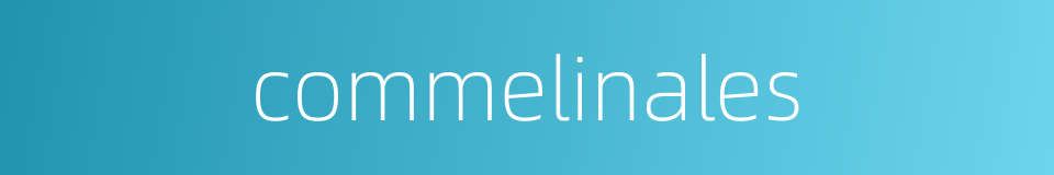 commelinales的同义词