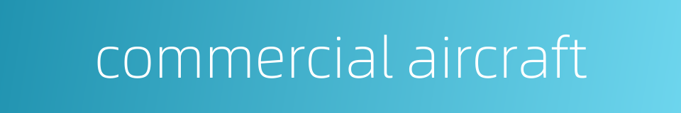 commercial aircraft的同义词