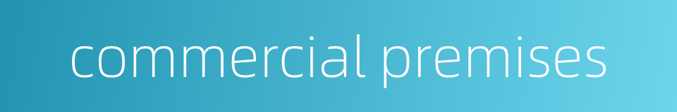 commercial premises的同义词