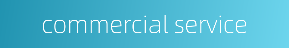 commercial service的同义词
