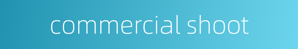 commercial shoot的同义词