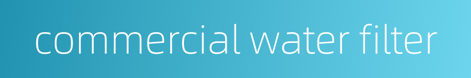 commercial water filter的同义词