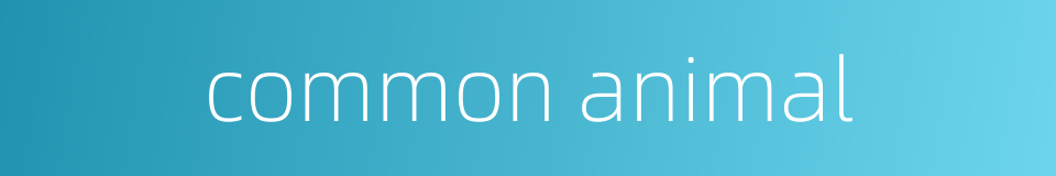 common animal的同义词